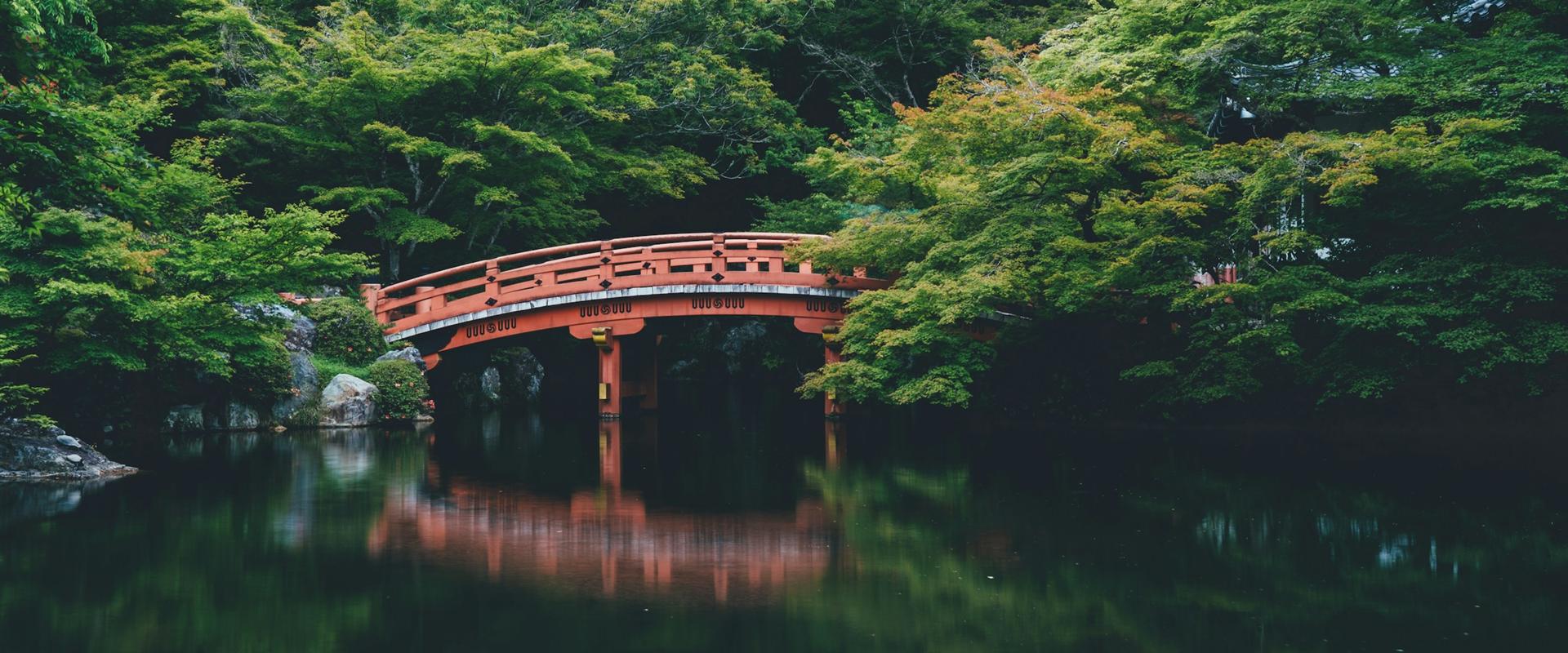 Red arched bridge reflected in a tranquil garden pond
