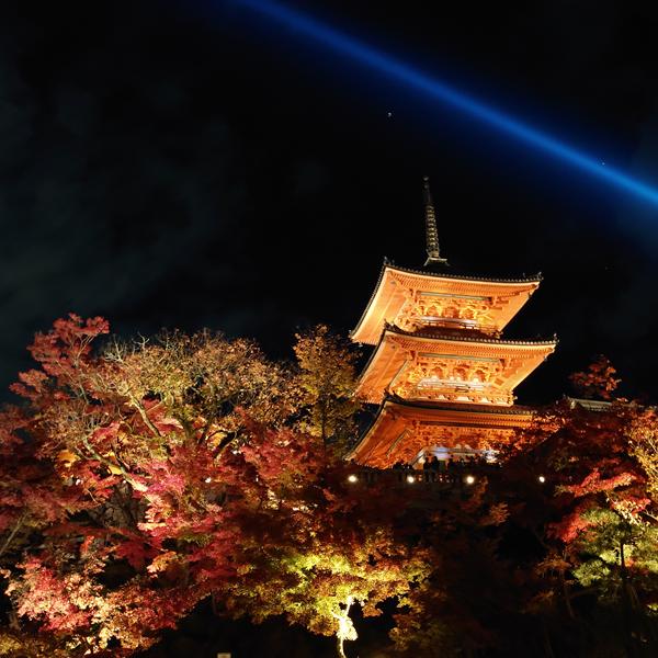 Kiyomizu-dera pagoda surrounded by autumn leaves at night