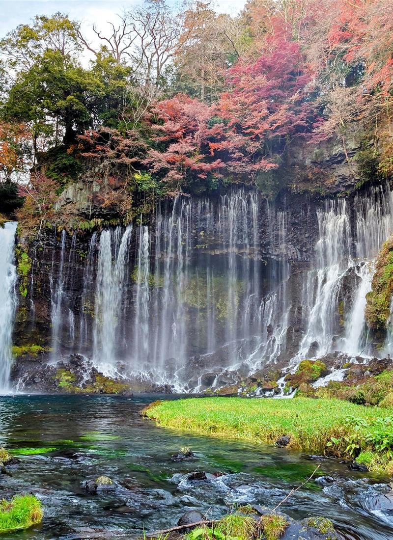 Shiraito Falls framed by autumn foliage